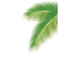 VG7-034 Palm Leaves Type 1